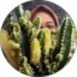 Review From Ully Amrina