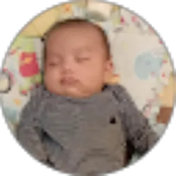 Review From Ar Man