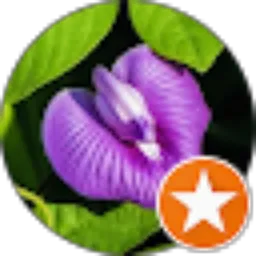 Review From Ahmad Muhamad Najib