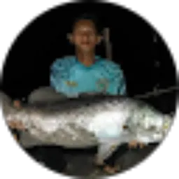 Review From Mr Rjb THBFC