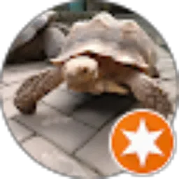 Review From Kinanti