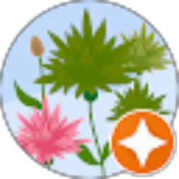 Review From Caryn Chris Suherman