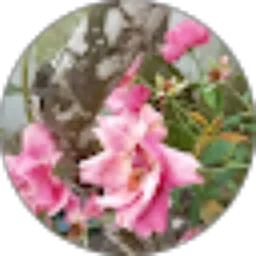 Review From Ahdiah