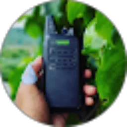Review From Lutfi Susanto