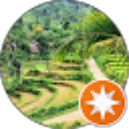 Review From Mulyo Atmojo