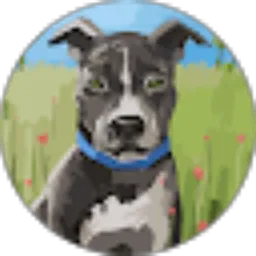 Review From Ara Krucils