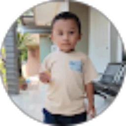 Review From Indra Gunawan
