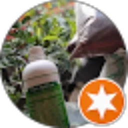 Review From Trubus Ijo