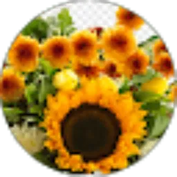 Review From Christa Calbrety