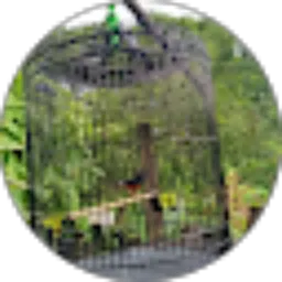 Review From Nurmala