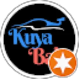 Review From Kuya Bali Tour and Travel