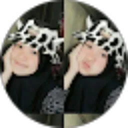 Review From Zaitun Salmi Ritonga