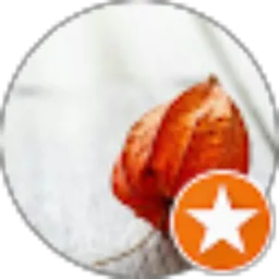 Review From Rini Stesy