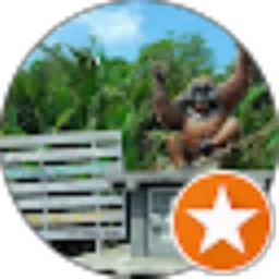 Review From Orangutansholiday dot com