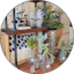 Review From Jenny YOU
