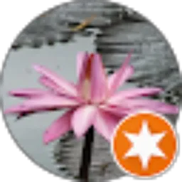 Review From Miranda Bjb