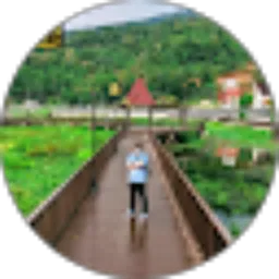 Review From rio wongsosoedarmo