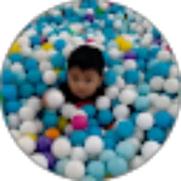 Review From Ali Akbar