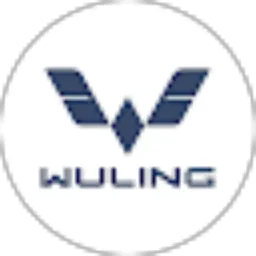 Review From Wuling mobile