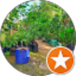 Review From Aziz Muslimthegunner's