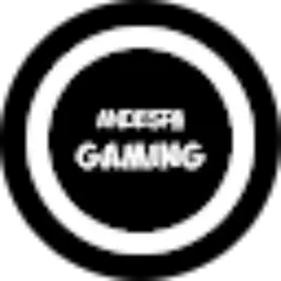 Review From ANDESPA GAMING