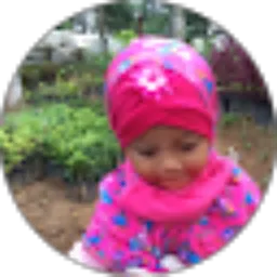 Review From Zaza Garden