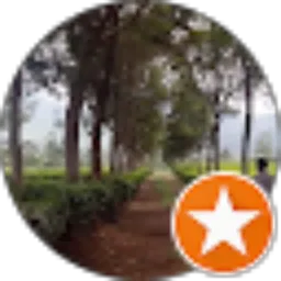 Review From arly Djoyke
