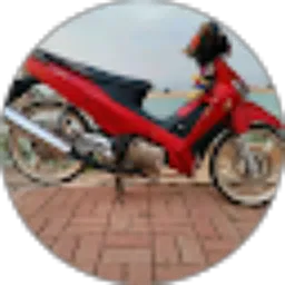 Review From Ari project