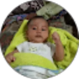 Review From Iwan Siswono