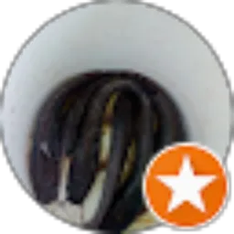 Review From Lele Sistem FK