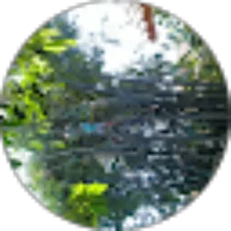 Review From MOH RID_01