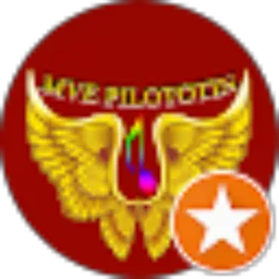 Review From MVE PILOTOTIN (Hendry Jeremia)