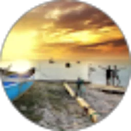 Review From Risdiantoro