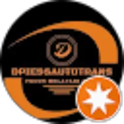 Review From DpiessAuto Trans