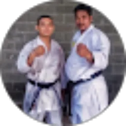 Review From Josua Robinsar