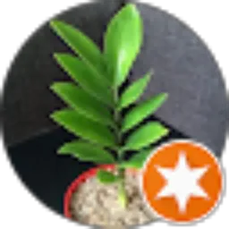 Review From Cornelius Andro