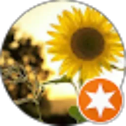 Review From S. Mauludin