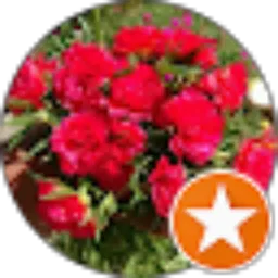 Review From Iqnina Khan