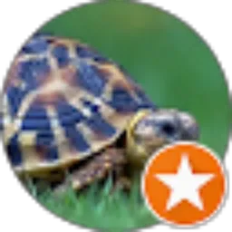 Review From tofan np