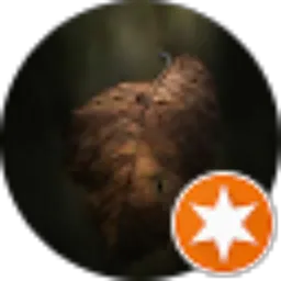 Review From A N