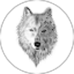 Review From Hendrik TL