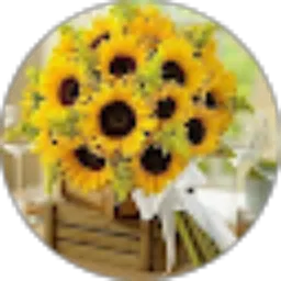 Review From Angelina Paat