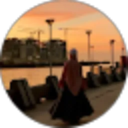 Review From Dhini Aminarti Akkas