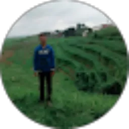 Review From Fadhil Yulianto
