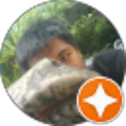 Review From Daniel P S