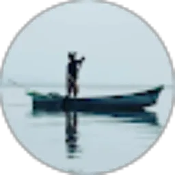 Review From D Simamora