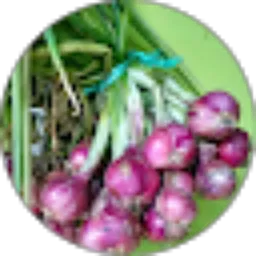 Review From Su Trisno