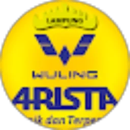 Review From Wuling Arista Lampung