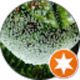 Review From Srianto Wardoyo