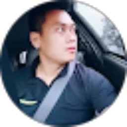 Review From rudi hartono